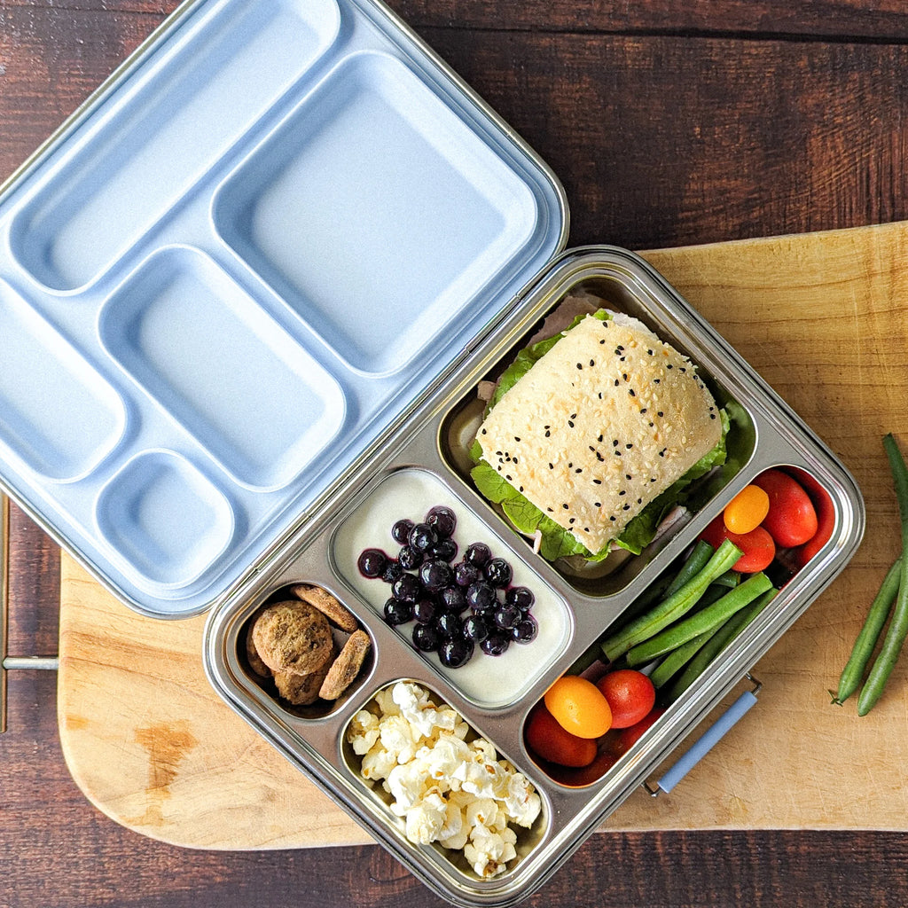 Ecococoon | Bento Lunchbox 5 | Blueberry - Creative Kids Lab